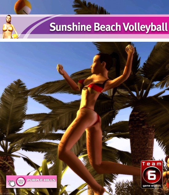 Sunshine Beach Volleyball (2009)